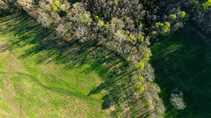 ADVANCED_TURKEY_HUNTING_TACTICS_6