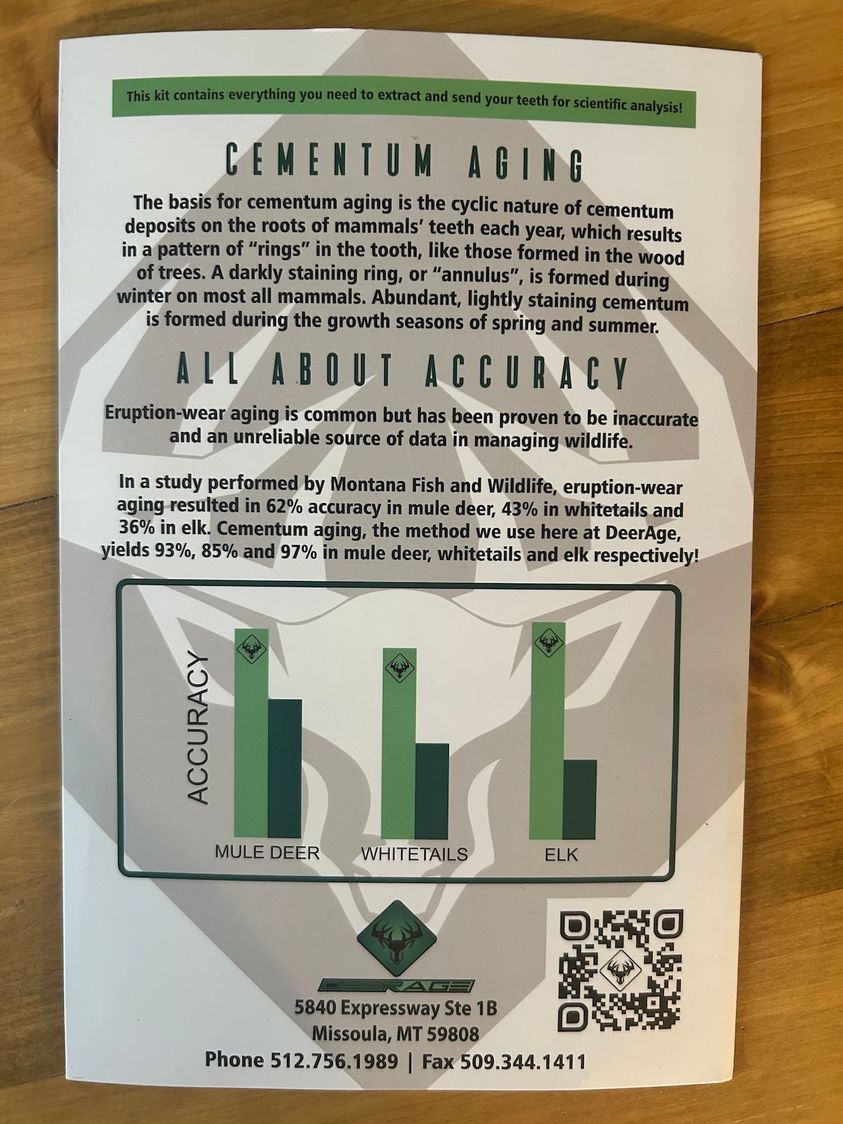 DEER_TEETH_AGING_3