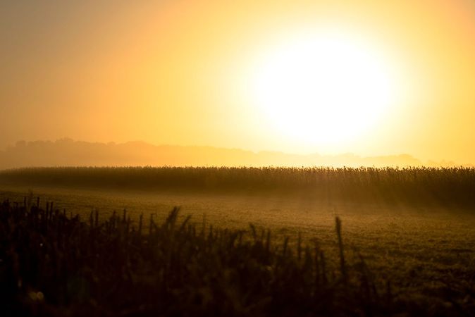 Purchase hunting land