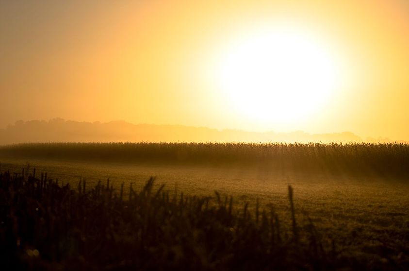 Purchase hunting land