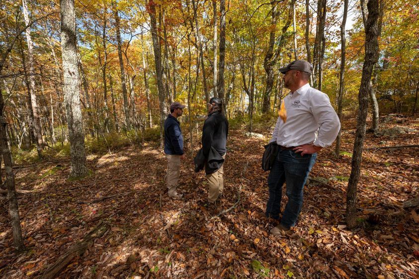 Maximizing Wildlife Food Sources with Strategic Mast Tree Planting-4