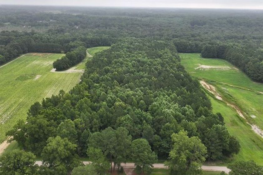 9-26.9 Acres of Versatile Recreational Land with Timber and Openings in Nash County
