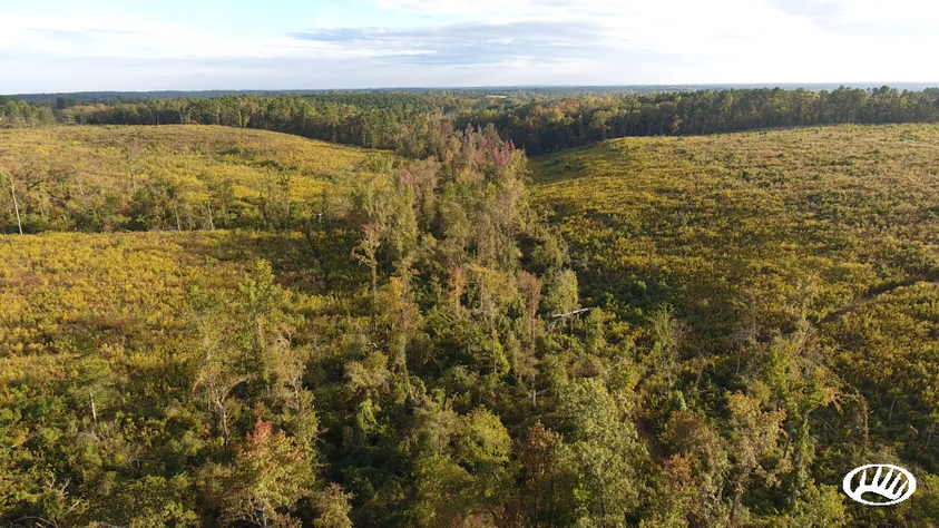 Hunting and Recreation in Texas