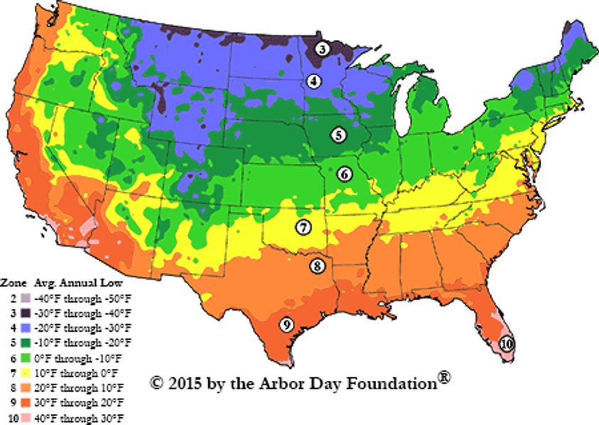 U.S. Hardiness Zones Oak Trees