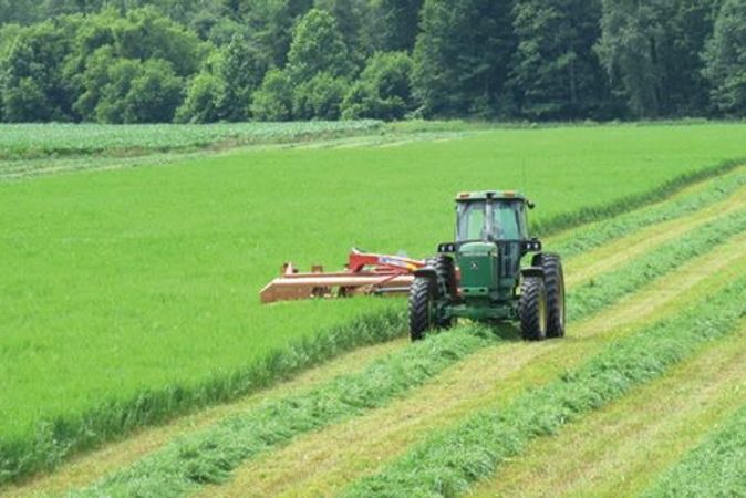 3 Benefits to Managing Your Hayfields Year-Round