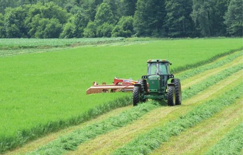 3 Benefits to Managing Your Hayfields Year-Round