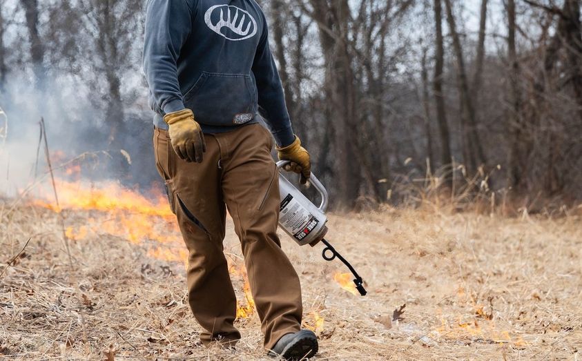 INVASIVE_PLANT_SPECIES_2