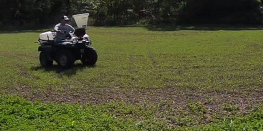 Planting Food Plots