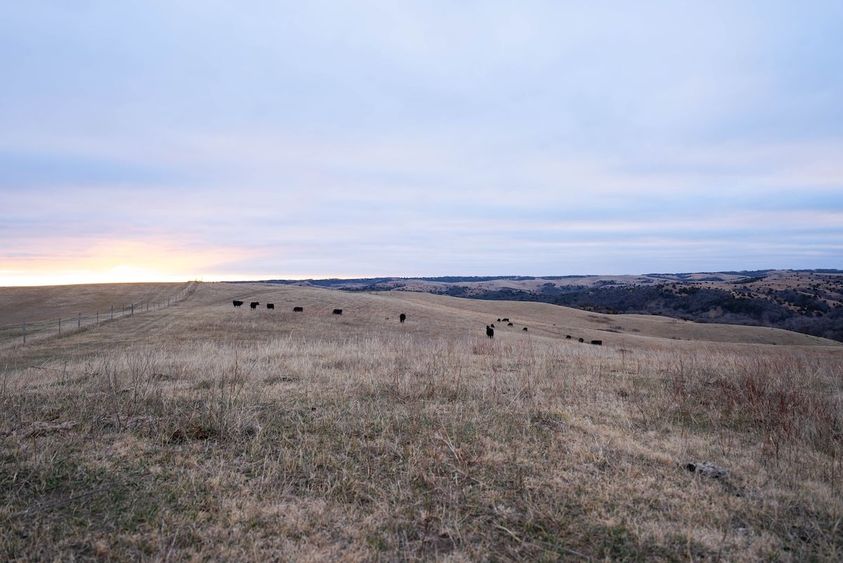 Ranch_or_Farm_2