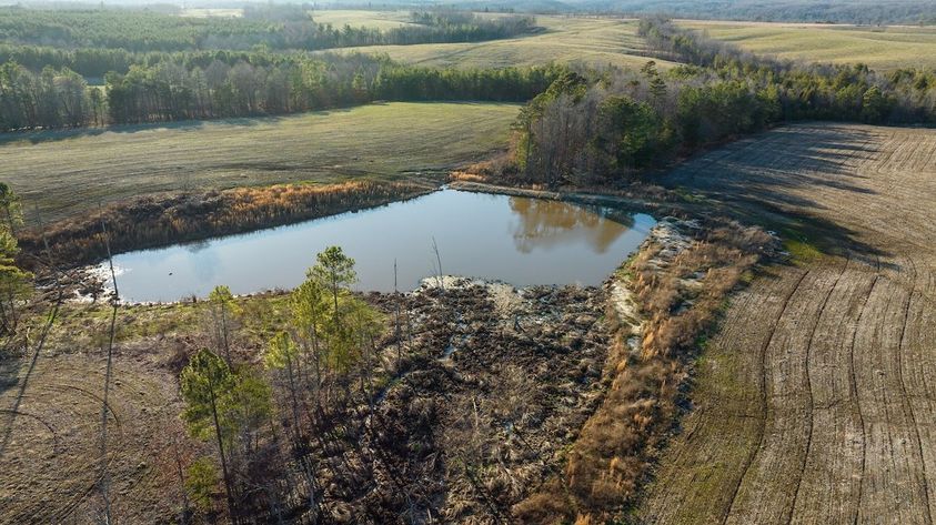 Build and maintain your dream recreational fishing pond.