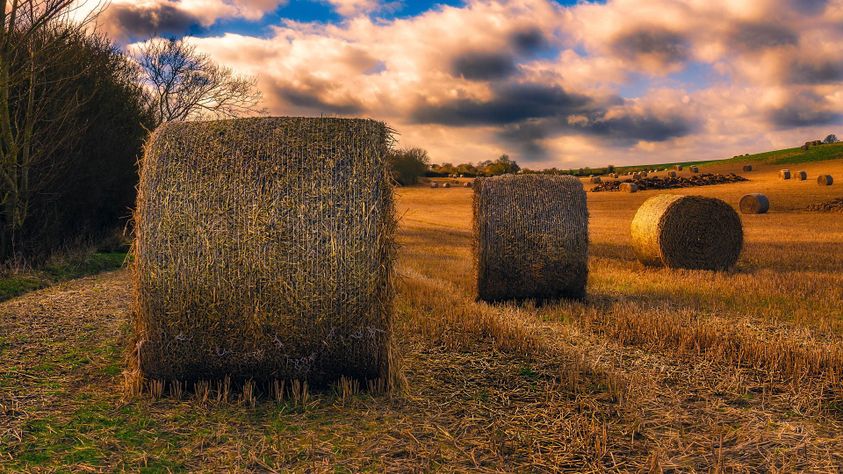 DIY hunting blind using hay bales
