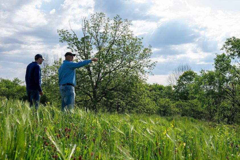 INVASIVE_PLANT_SPECIES_5