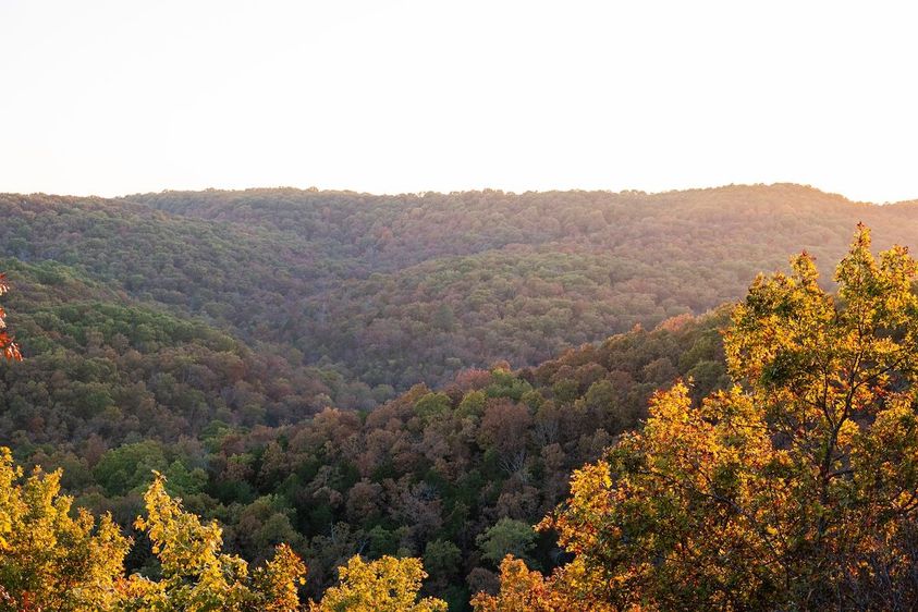 Terrain-Deer-Hunting-10