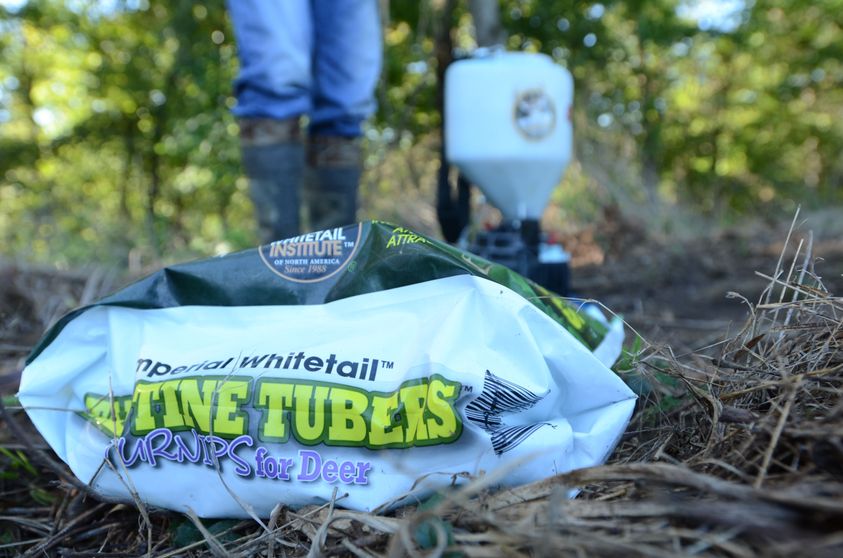 The Best Food Plot Involves Variety and Planning Whitetail Properties