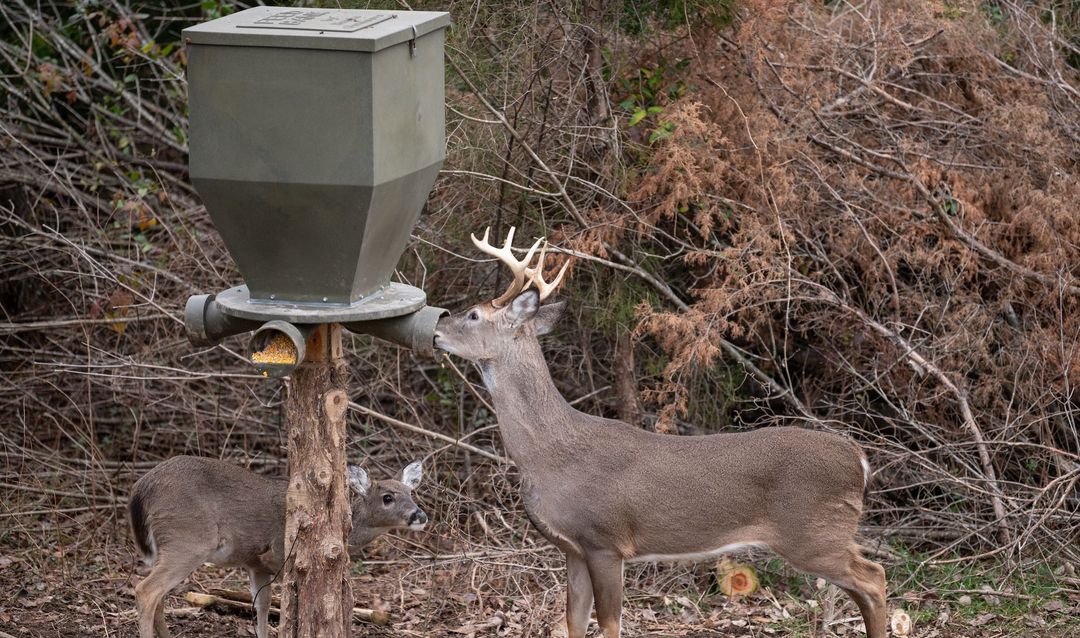 Whitetail-Properties-Deer-Feeders-1