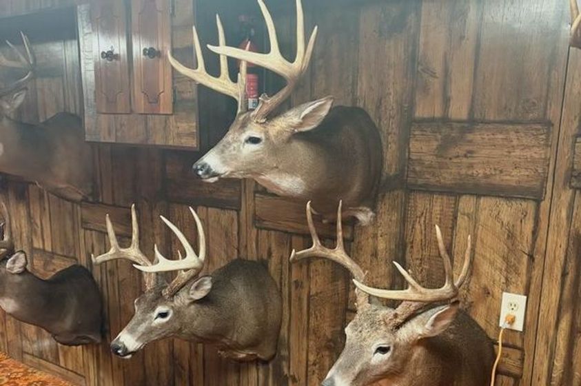 15.Affordable-Illinois-Farm