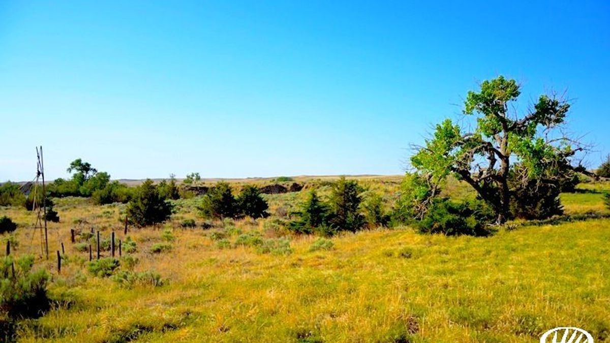 5 Pieces of Kansas Hunting Land for Sale Whitetail Properties