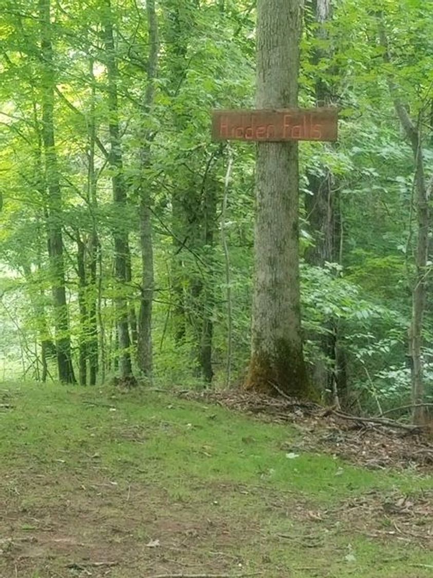 Turning a Dream Property Into a Reality