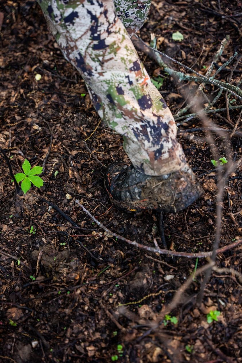 Guide to Understanding Deer Bedding Behavior-8