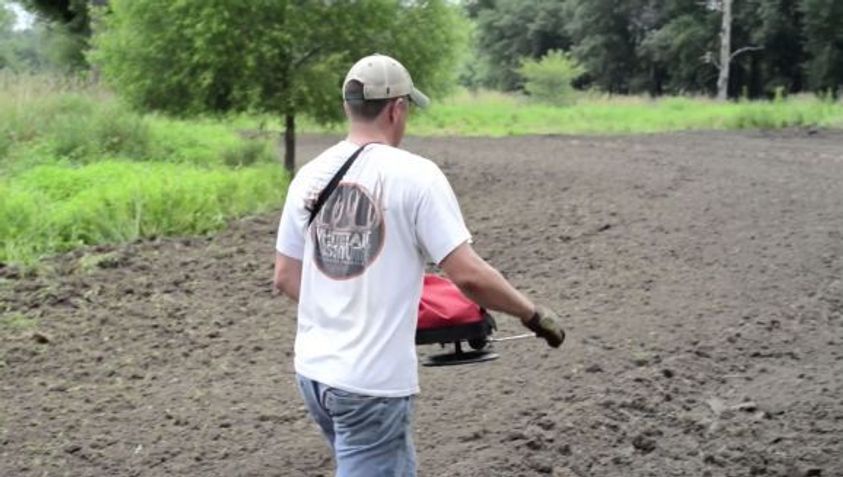 What to Plant for Wildlife