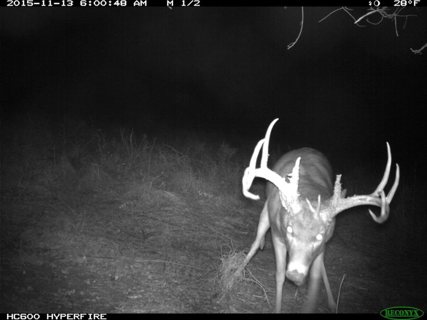 Trouble_Shooting_Trail_Cameras_4