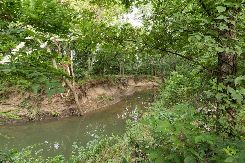 INVASIVE_PLANT_SPECIES_4