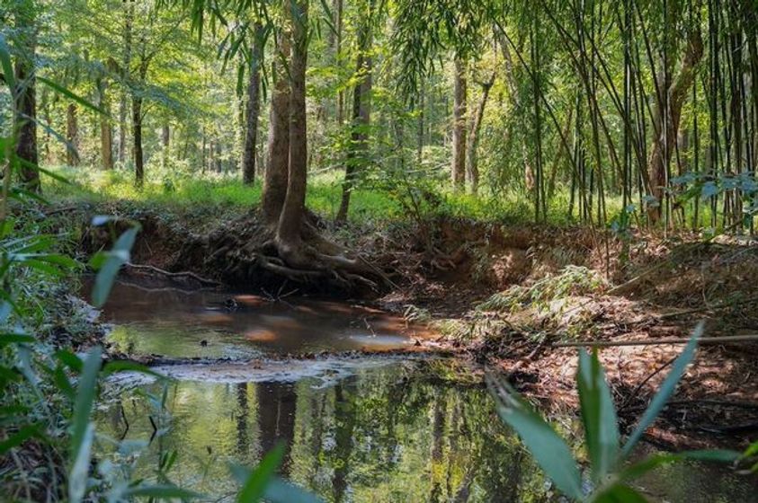 12-22.43 Acres of Recreational Land on Waxhaw Creek in Union County