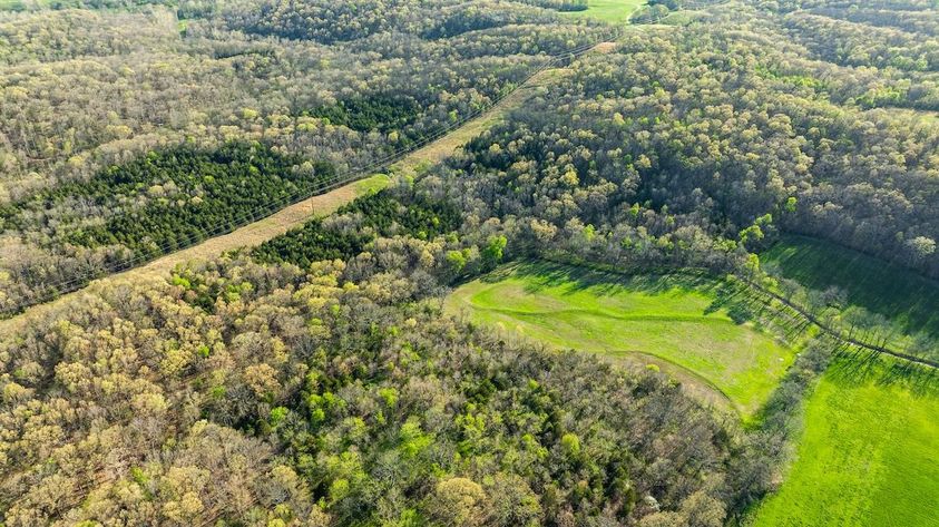 Wisconsin-Land-For-Sale-2