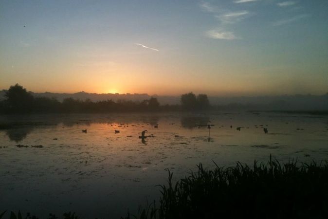 What to Look for When Buying Waterfowl Property