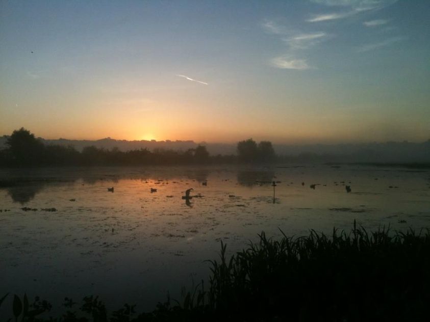 What to Look for When Buying Waterfowl Property