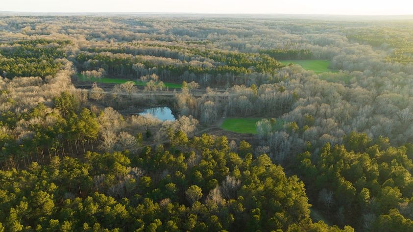 Food-Plot-Maintenance-5