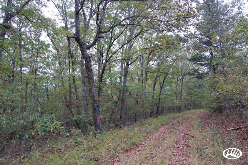 Buffalo National River Frontage - North Central Arkansas