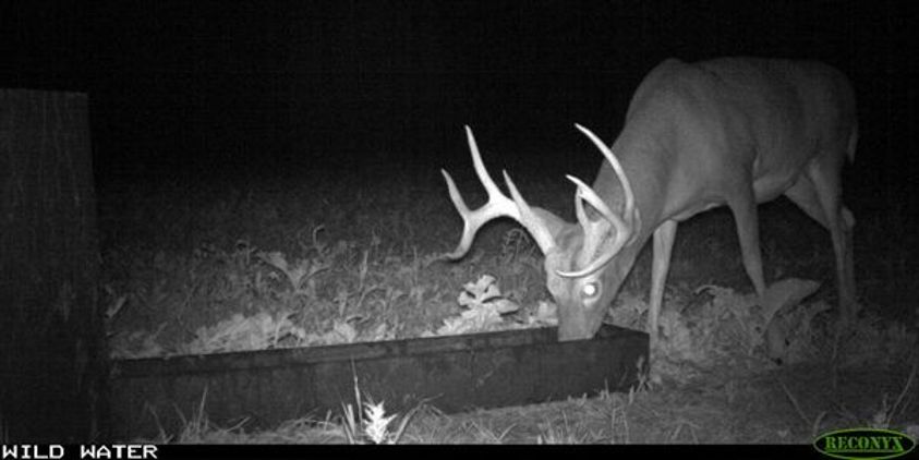 Banks Outdoors Wild Water