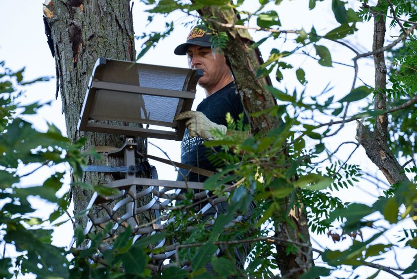 vertical treestand setup in tree