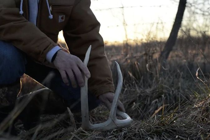 Deer Management Activities