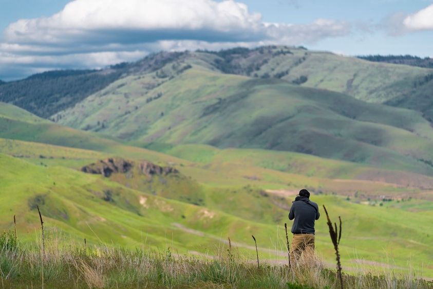 INVASIVE_PLANT_SPECIES_6