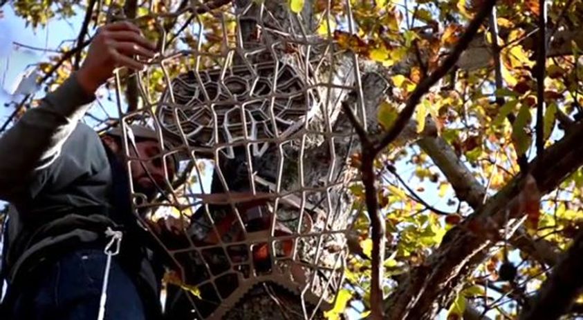 Treestand Placement for Each Phase of Deer Season