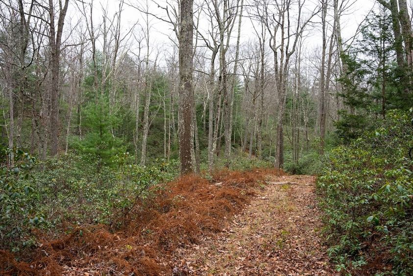 Terrain-Deer-Hunting-3