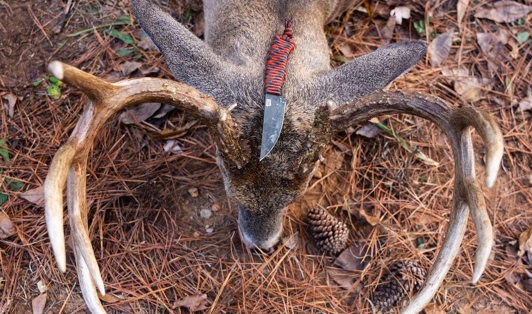 Knives-For-Deer-Hunters-1