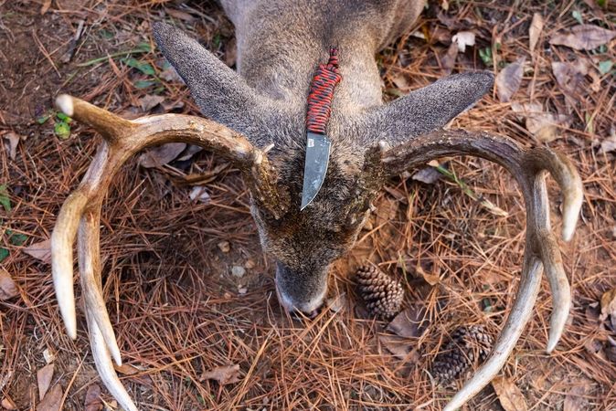 Knives-For-Deer-Hunters-1