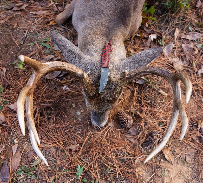 Knives-For-Deer-Hunters-1