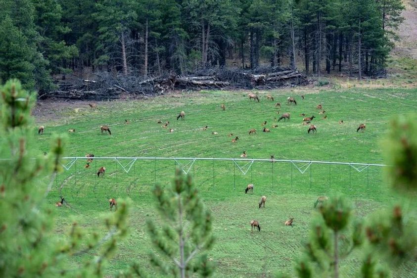 Dream-New-Mexico-Ranch-7