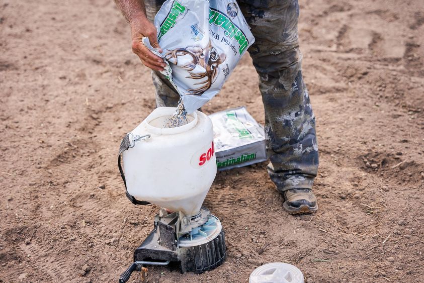 Food-Plots-Beginners-Guide-6