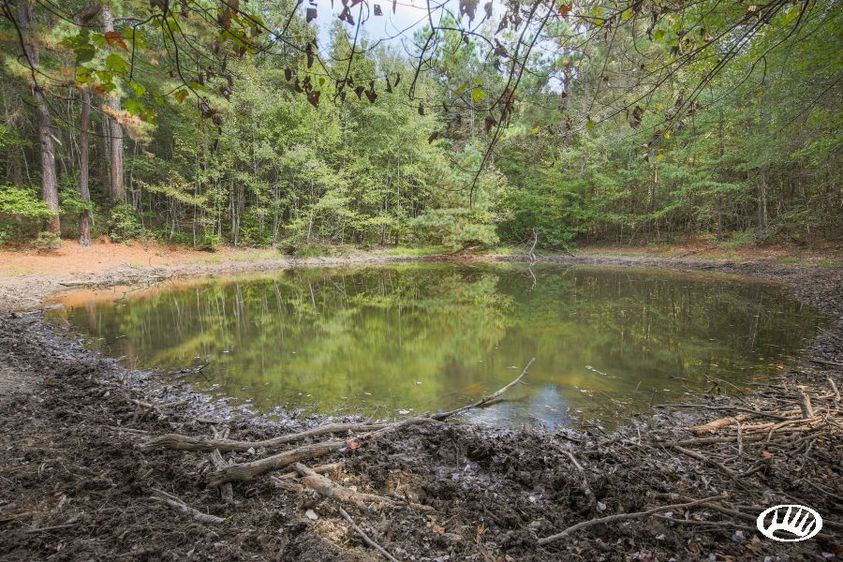 Hunting Retreat with a Pond and Home