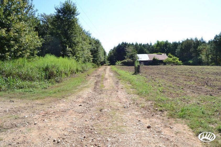 Hunting Property with Timber - Southwest Arkansas