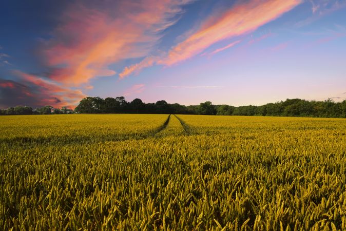 Farming Songs