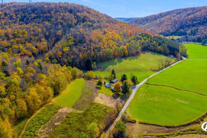 Pennsylvania Landowners: Benefactors of Diverse Hunting and Attractive Investment Opportunities