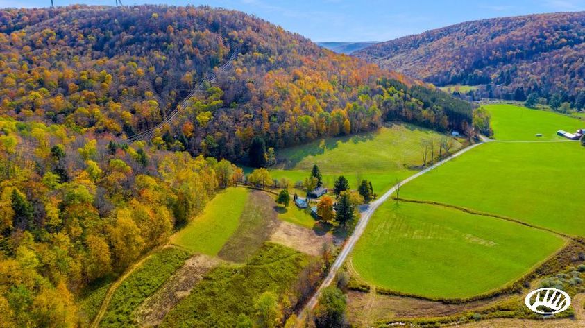 Pennsylvania Landowners: Benefactors of Diverse Hunting and Attractive Investment Opportunities