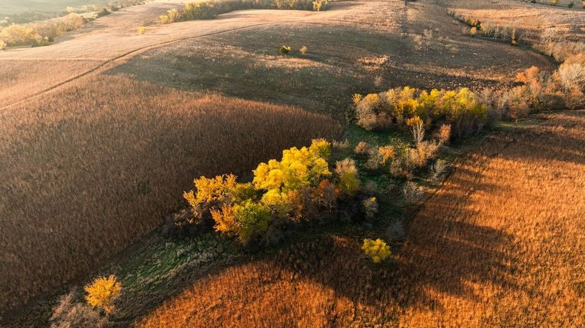 Terrain-Deer-Hunting-7