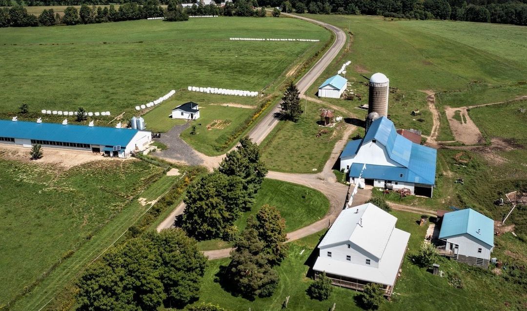 DAIRY_FARMING_1